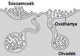 A vizsgálatok során az A sókeverékhez tartozó salakmintákban jelentős mennyiségű nagyméretű sószemcsét találtam, amelyek az EDS elemanalízis alapján NaCl-ból állnak.