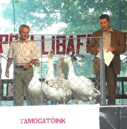 V rokoch 1991 2001 existoval katolícky spevácky zbor Vox Cordis, ktorý založil kantor, Ing. Ján Simon a viedol ho spolu s manželkou Agnesou.
