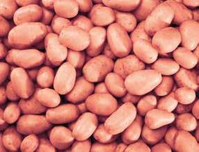 125 g / csomag, 1 kg = 2 200 Ft ÁFONYA -25% 399 Ft 298Ft kg