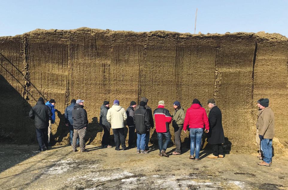 Tanulmányutunk első két napját Ohio állam Plain City nevű városában, a Select Sires központi telephelyén töltöttük. Megnéztük a termelőegységeket, a bikatartó létesítményeket.