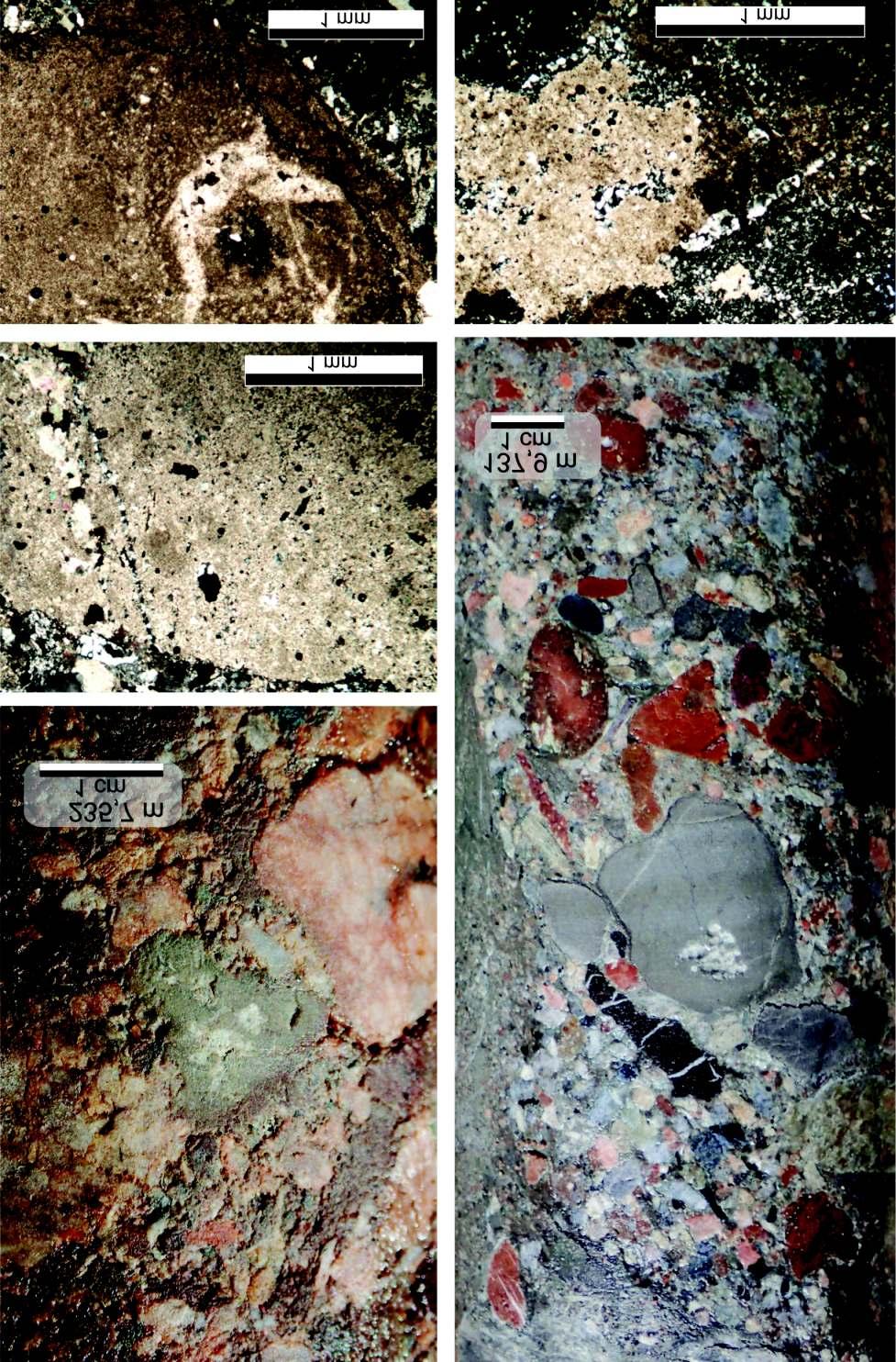 Földtani Közlöny 146/3 (2016) 229 Figure 3. Conglomerate with carbonate pebbles from 235.7 m of the BAF 1A drill core (top left) and from 137.9 m of the BAF 1 drill core (top right).