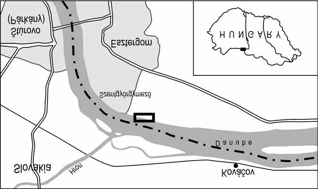 234 KOVÁCS, Zoltán, VICIÁN, Zoltán: A new Egerian (Upper Oligocene Lower Miocene) gastropod fauna from the Esztergom Basin KORPÁS (1981), BÁLDI (1986) and BÁLDI & NAGYNÉ GELLAI (1990) said anything