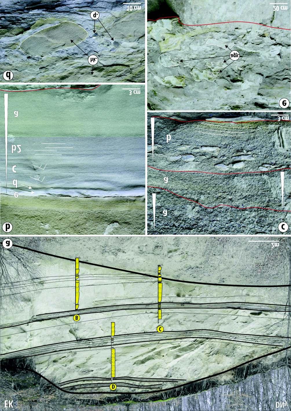 264 BARTHA István Róbert et al.: Rezervoár analóg pannóniai turbiditek Kelet-Erdélyben: őskörnyezet és porozitásfejlődés 4. ábra.