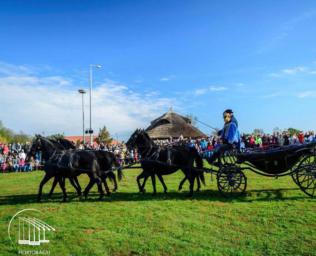 Family-friendly programs in the Hortobagy Spring Puszta know-how in Rare Breed Farm In this programme you can get an insight into the moments of herdsmen culture, which have already become tradition,