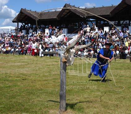 Family-friendly programs in the Hortobagy Summer Puszta know-how in Rare Breed Farm In this programme you can get an insight into the moments of herdsmen culture, which have already become tradition,