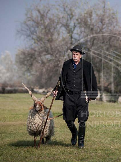 Family-friendly programs in the Hortobagy Autumn Puszta know-how in Rare Breed Farm In this programme you can get an insight into the moments of herdsmen culture, which have already become tradition,