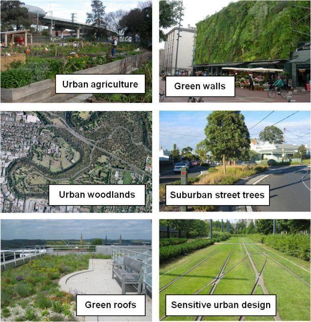 A zöld infrastruktúra egy olyan bioklimatikus elemeket egyesítő rendszer,