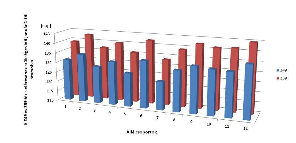 M2. A Z49 és Z59 egyedfejlődési fázisok két vizsgálati évben mért átlagértékeinek a megoszlása a 2 fő allélcsoport között.