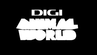 , hétfő gó kel sutto 1:00 Delfinek 2, d d rcius 7., ke a!