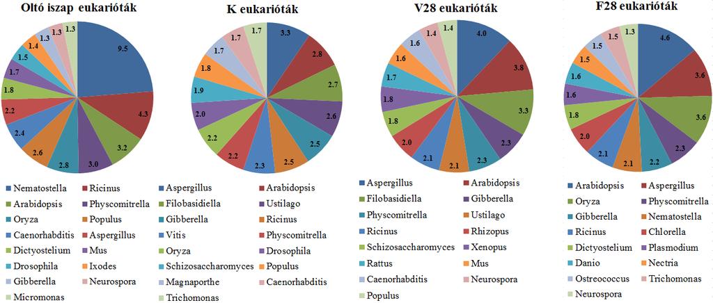 XIV. melléklet A különböző iszap minták eukarióta nemzetség összetétele Oltó iszap: kezdeti iszap; K: kezeletlen fekete bodzával adagolt iszap; V28: 28 napig
