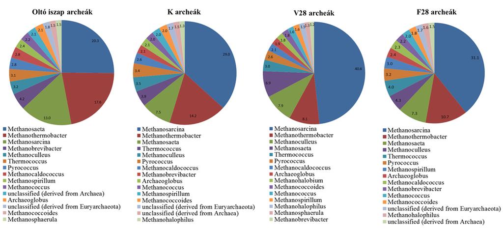 XV. melléklet A különböző iszap minták archea nemzetség összetétele Oltó iszap: kezdeti iszap; K: kezeletlen fekete bodzával adagolt iszap; V28: 28 napig