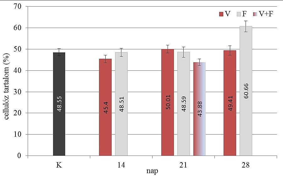 25. ábra A cellulóz tartalom meghatározása 14,21,28 nap: a korhasztó gombákkal történt előkezelési idő; K: kezeletlen bodza faanyag; V: vörös korhasztó gombás előkezelés; F: fehér korhasztó gombás