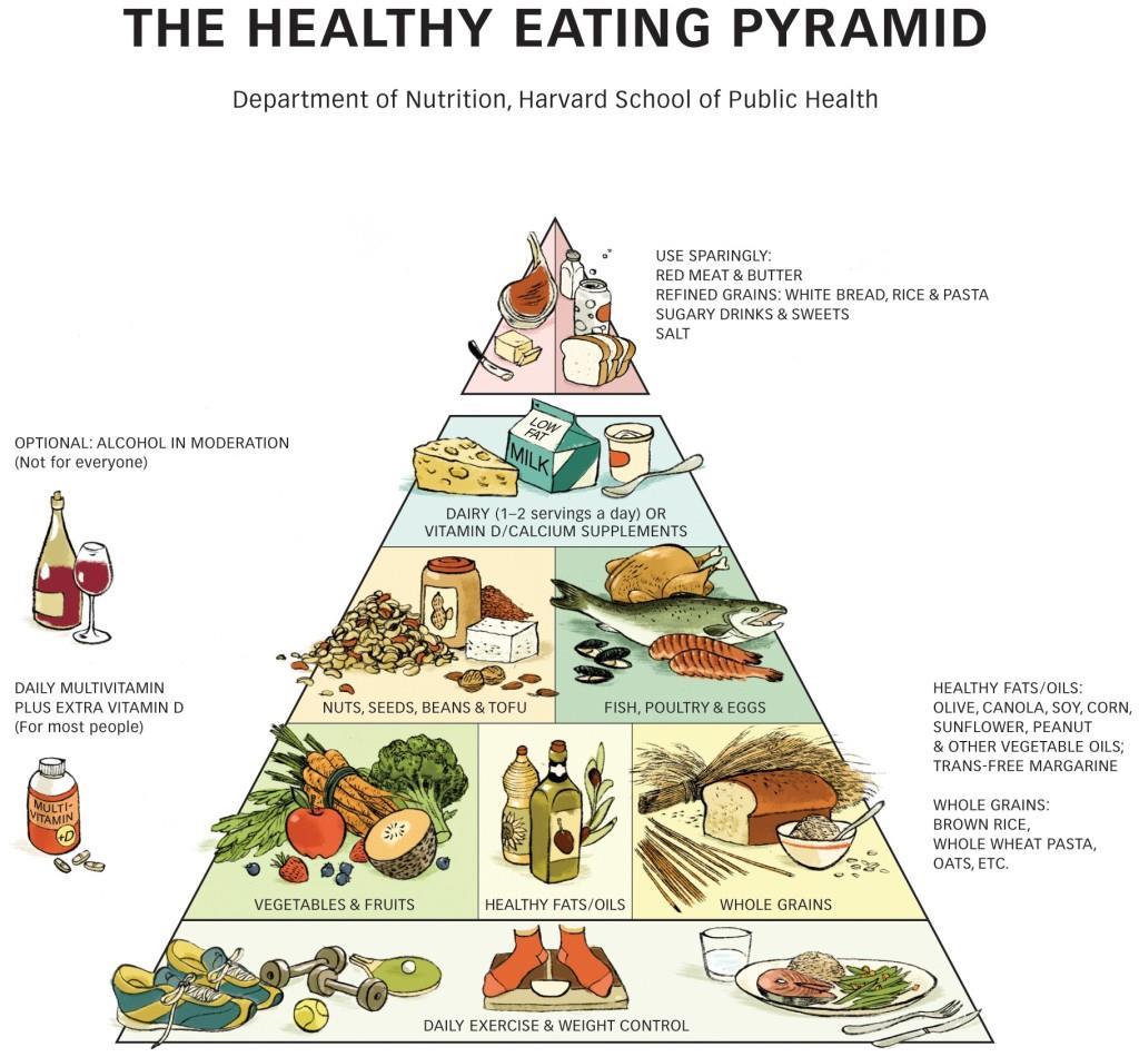 1. ábra: Táplálkozási piramis (https://www.hsph.harvard.
