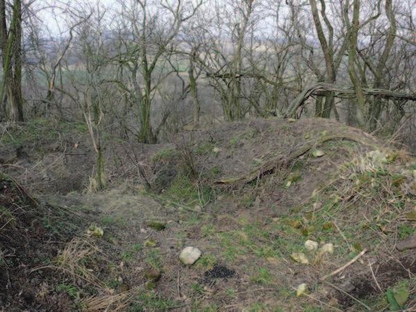 24 Örökségünk Ha feltételezésünk igaz, akkor a Boztyh-Boztech-Boctuch név feltétlen összefüggésben van Rénold származásával, tevékenységével.