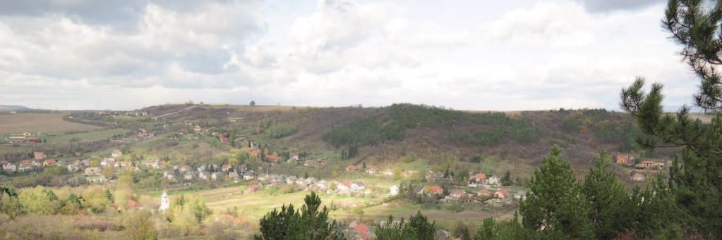 BEVEZETŐ Vörös Ferencné: A Somlyóról nézve Enyhe télidőben az erdőre jártunk, Néha csak ágfát, de többször ölfát vágtunk! Baktatva a hegyre, meg-meg szoktunk állni.