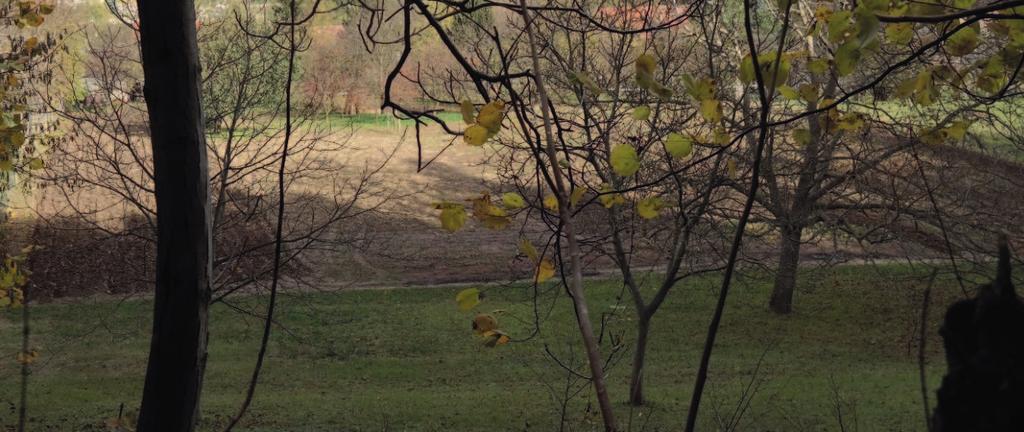 A Velencei tó és a főváros között elterülő dombvidék a Gerecséhez közelítve egyre meredekebb lejtőkkel fogja közre a patakvölgyeket.