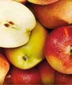 4 ieks Családom a citrusfélék, van bennem C és B-vitamin, folsav, kálium és réz is. Savanykás ízem leplezi a cukortartalmam.