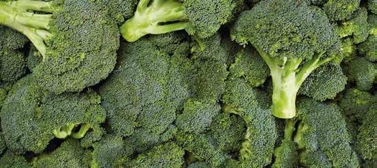 Rendkívül magas az antioxidáns hatású C-vitamin tartalmam, ezért velem olyan erős és ellenálló leszel, hogy közösségbe is nyugodtan mehetsz.