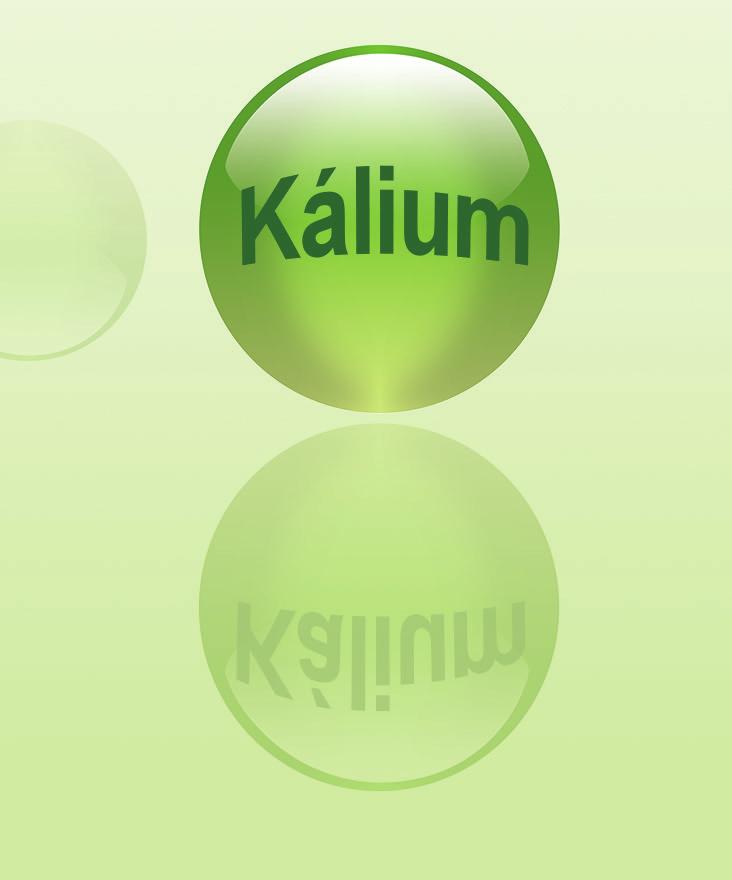 program