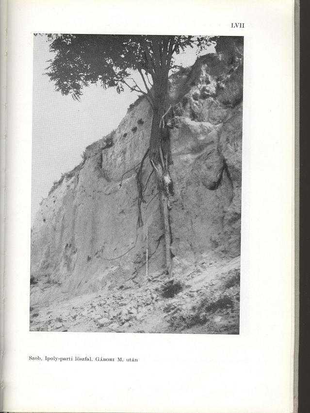 'Í L"l.~'lI - -ıı. 1.I F flzıfılı.