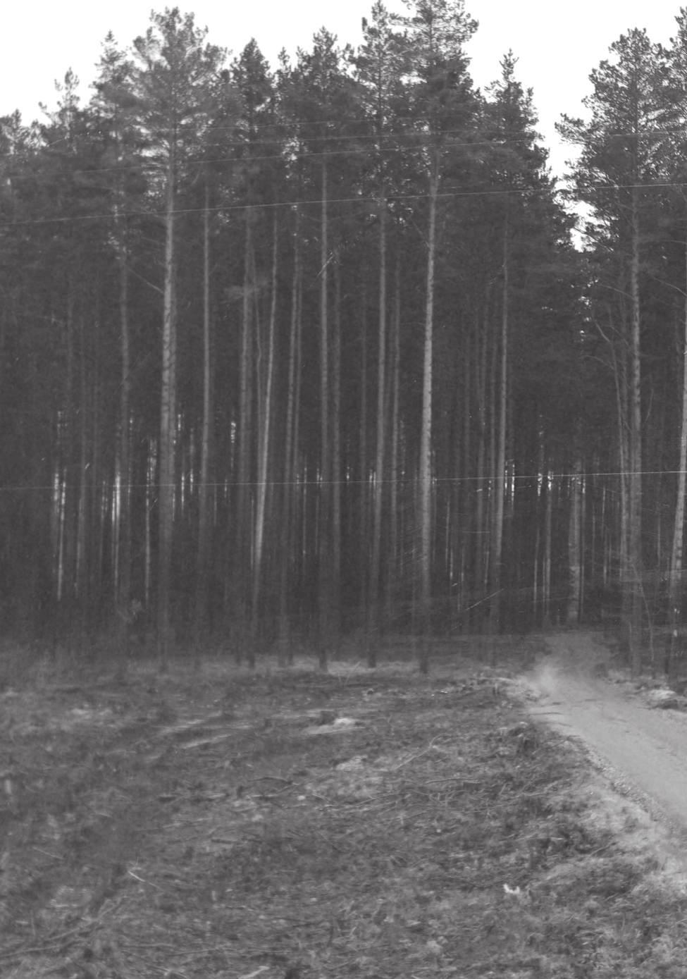 Campfilm WE CAN FOCUS ON THE ACTUAL WORK IT MAY BE SAFELY STATED THAT THE MEDIA SUB-PROGRAMME OF CREATIVE EUROPE IS A MARKETABLE FORM OF FINANCING, ONE THAT HAS EARNED THE TRUST OF THE FILMMAKING
