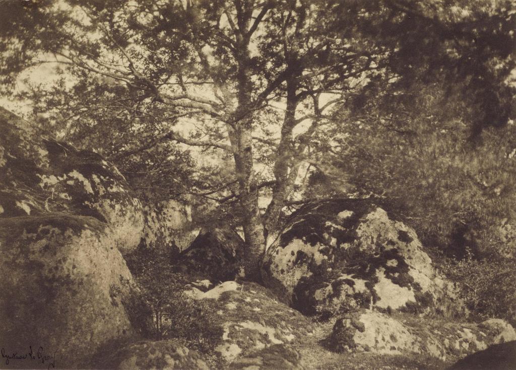 Gustave Le Gray