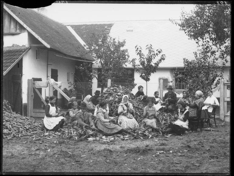 Kukoricafosztás / fényképész Plohn József