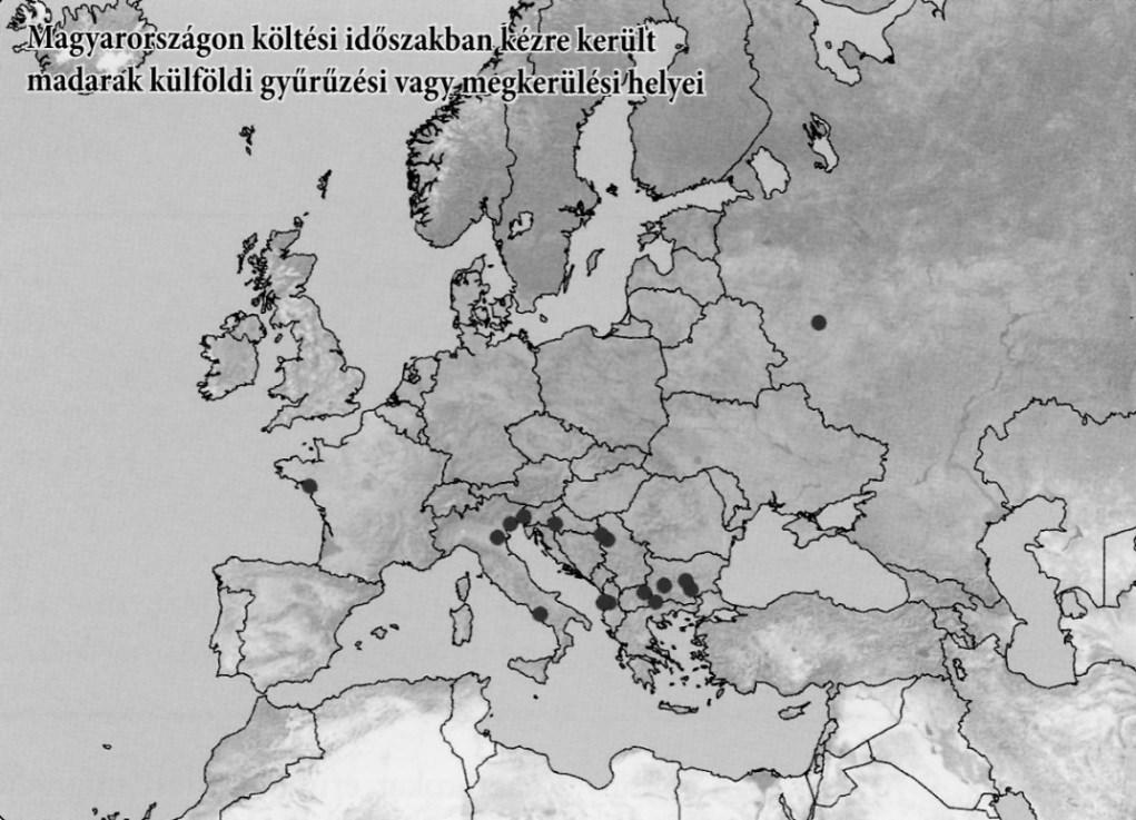 Közép-Európa be nem fagyó vizeinél és a Földközi-tenger nyugati medencéjében töltik a telet.