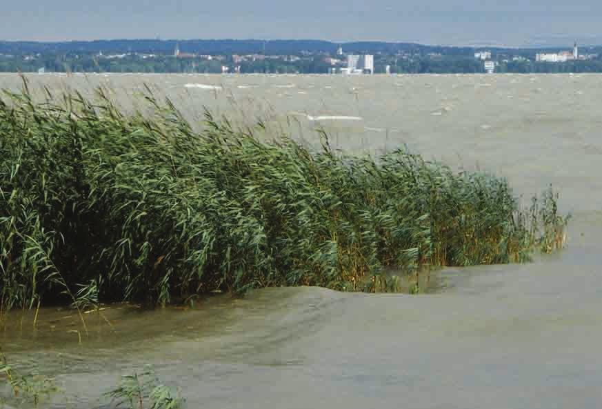 2.1.3.2. Balaton, Kis-Balaton A Balaton Közép-Európa legnagyobb sekély vizű tava (18. ábra); az adriai tenger szintje felett 105,9 méterrel helyezkedik el (Virág 1998), átlagos vízmélysége 3,3 m.