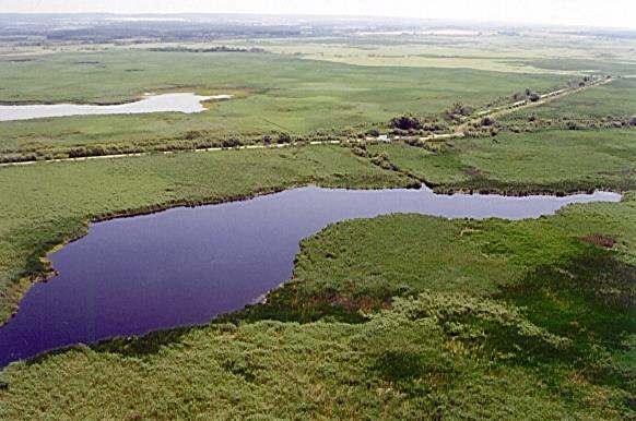 A Balaton negyedidőszaki üledékeinek átlagos vas- 18. ábra. Balaton 19. ábra. Kis-Balaton, Zalavári víz tagsága 5 m, melynek felső 10-20 cm-es szakasza lágy kolloid.