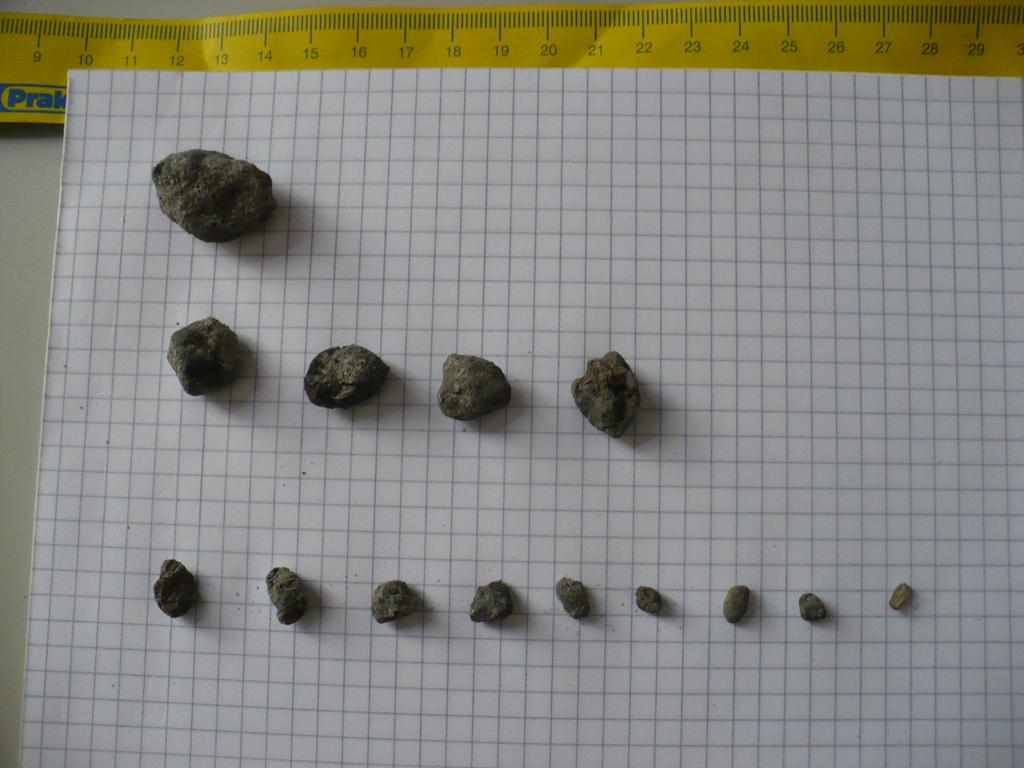 dc_1342_16 2.2. Laboratóriumi feldolgozás A paleolimnológiai vizsgálatoknál (Retyezát, Balaton, Szent Anna-tó, Ighiel-tó) a 2 C on tartott fúrásmagokat az őket tartalmazó műanyag csővel együtt félbevágták.