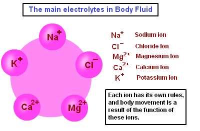 Anionrés Normál értéke: 12+/- 4mEq Cl- + HCO3- + nem mérhető anionok =