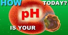 A ph szabályzása A puffer rendszerek a vérben és szövetekben csökkentik a H ion koncektrációt A légzőközpont, ami szabályozza a CO 2
