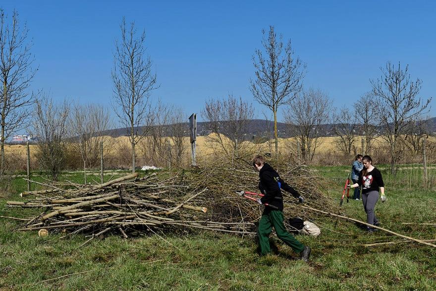 fenntartása Közel 850 ha területi kiterjedés, 37 helyszín Specializált és nagyfokú szakmai ismeret (főként fajismeret) Budapest