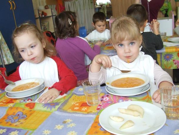 5. ÉLELMEZÉS A bölcsődei élelmezésünk során törekszünk a korszerű csecsemő és kisgyermek táplálkozási elveken alapuló étkezés biztosítására.