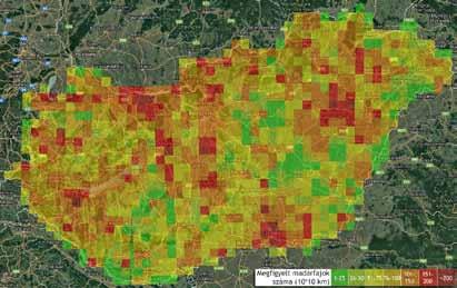Egyesületünk működteti hazánk egyetlen, az ország egész területéről adatokat gyűjtő, elsősorban madarakra koncentráló Monitoring Központját.
