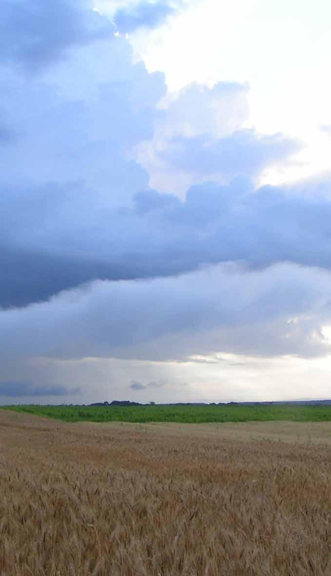 RÓLUNK 3