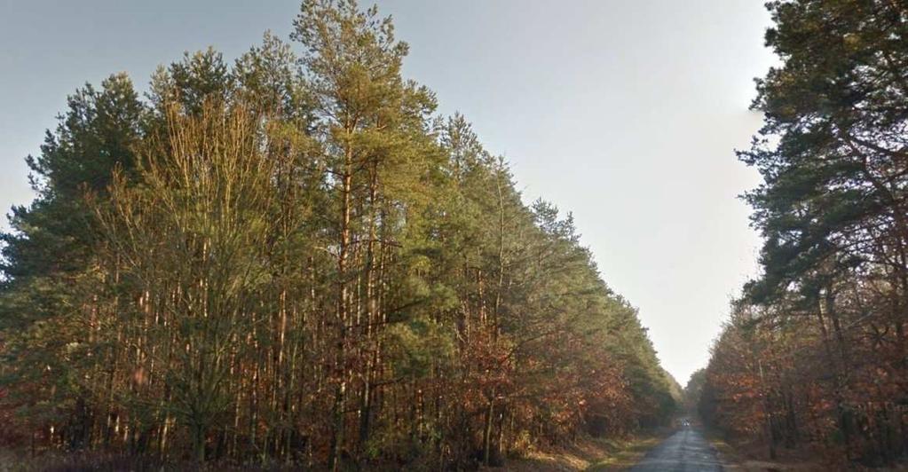 egészében az Őrségi Nemzeti Parkhoz tartozik.