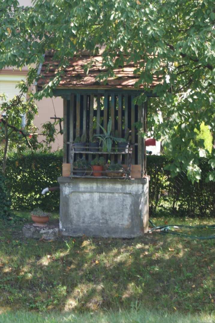 38 Jó