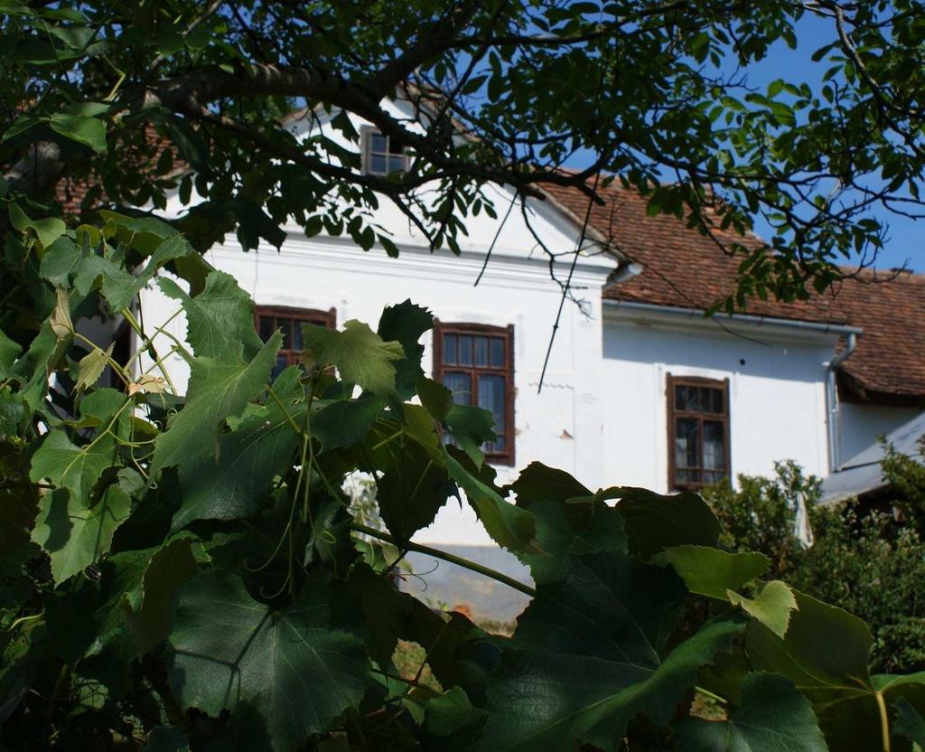 4 Bevezetés Ez a könyv nem tiltani akar. Ez a könyv tanítani szeretne.