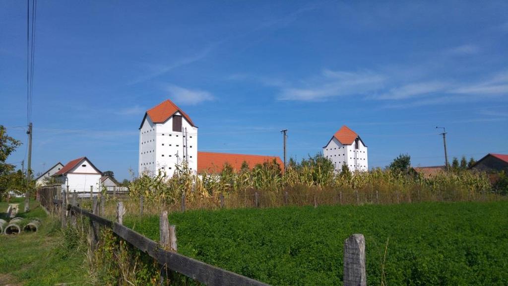Írásos emlékben először 1219-ben szerepel a falu, 'Pauli de Nyr' néven, mivel Bihar megyének ezt a részét Nyírnek vagy nyíri kerületnek nevezték.