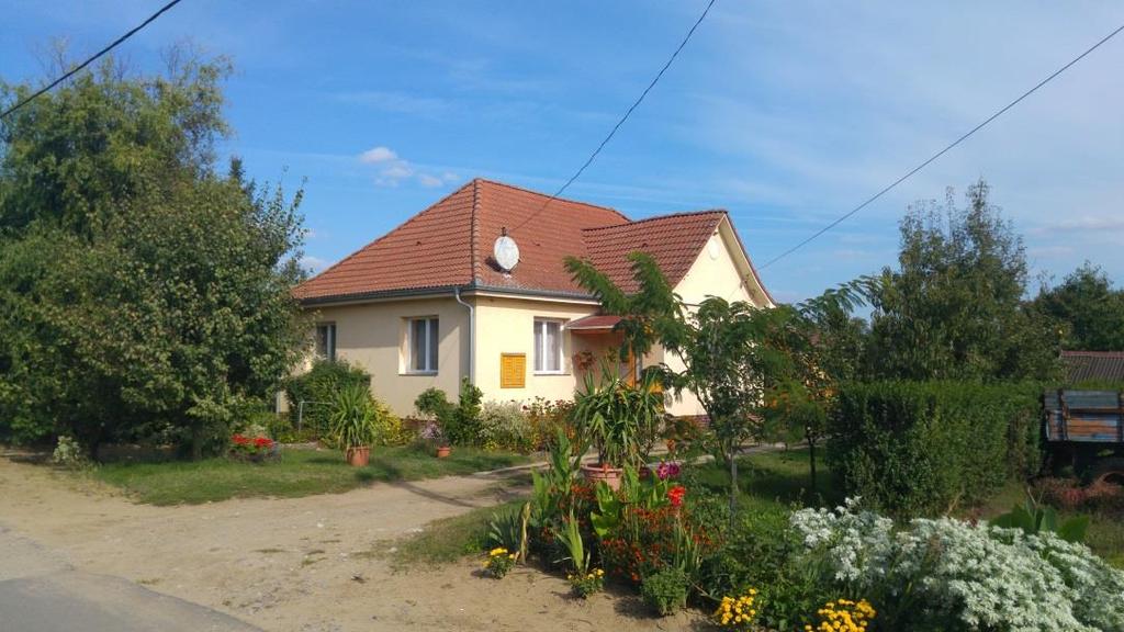 lelni az épületükben. A kertek gondos megtervezése is igen fontos. A növényzet nyáron árnyékot ad, felfogja a szelet. Télen a lombkorona nélküli ágak között besüt a nap.