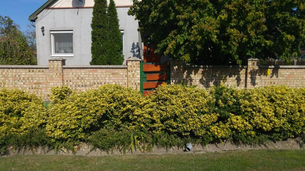 Utcák településképi útmutatója A lakóutcák funkciója a telkek megközelítése és kiszolgálása.