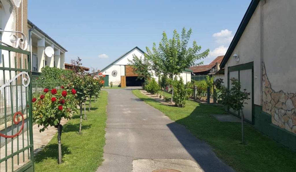 évi tűzvész után kezdték építeni a tégla oromzatú cifracsűröket, amelyeknél a tűzfalnak nevezett oromfal kivételével továbbra is a