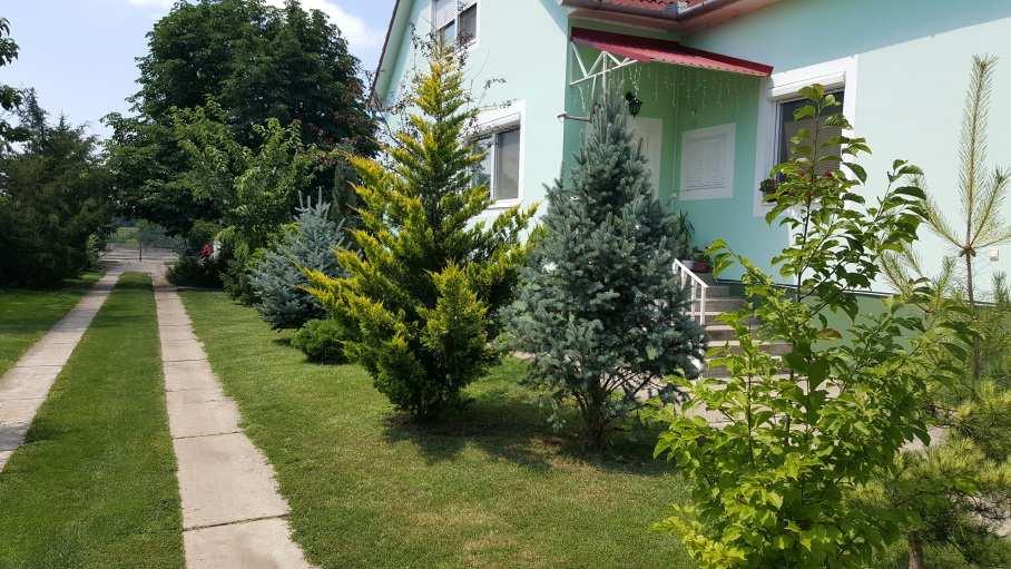 A ház méreteinek érzetét a környező növényzettel befolyásolhatjuk. Szándékunk szerint magas növényzettel csökkenthetjük, alacsony növényekkel növelhetjük a ház méretének érzetét.