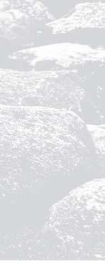 IGNIS logo,