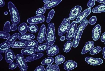 Essentially, drug resistance arises in areas with weak TB control programmes.