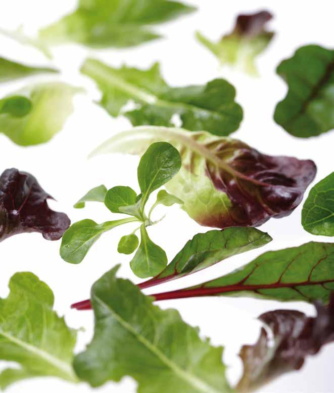seeds&sharing