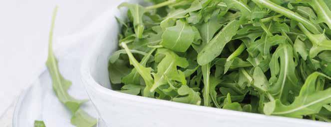 Szerepel rendesen, de rukkolának, ruccolaként, és rucola formában is előfordul. Sem szótárak, sem helyesírási programok nem segítenek.