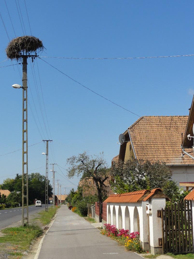haranglába tör az ég felé. A település karakterében homogén arculatot mutat.